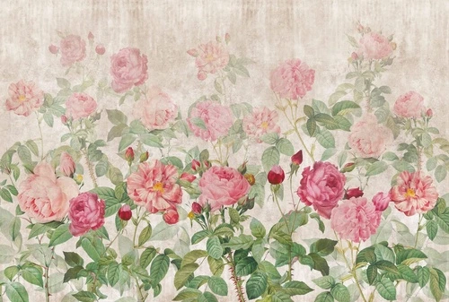 цветы, пионы, розовая, кусты пионов, зеленая, персиковая