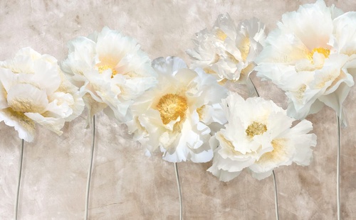 цветы, светлые, белые, бежевые, желтая