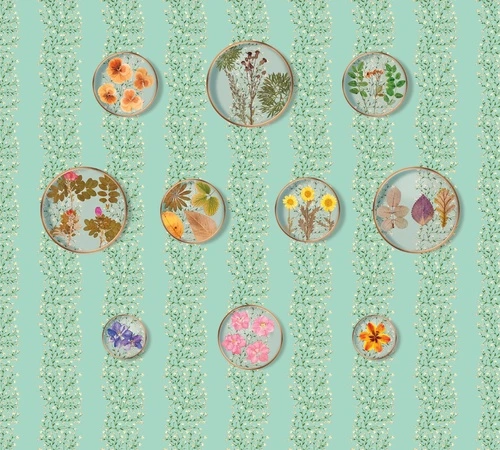 цветы, листья, зеленая, гербарий