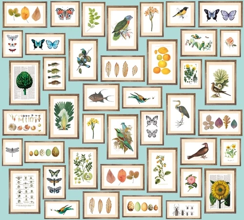 цветы, листья, голубая, гербарий, марки, с животными, картинки, с растениями, с насекомыми