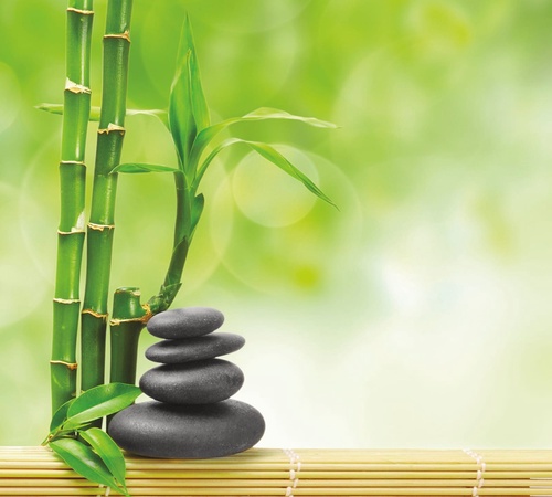 цветы, бамбук, камни, зеленая, черные