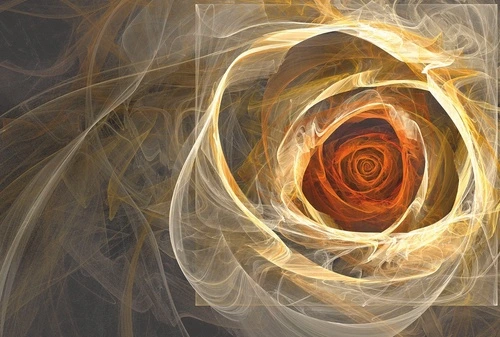 цветы, роза, песочная, с красным, вуаль