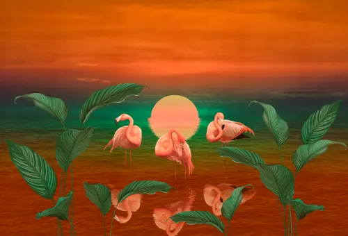 пруд, растения, кусты, фламинго, листья, небо, рассвет, солнце, закат, розовый фламинго