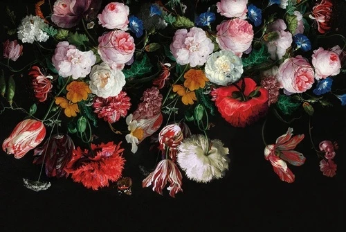 цветы, хейсум, живопись, классика, картины, красная, белые, на черном фоне