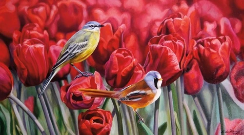цветы, тюльпаны, красная, поле тюльпанов, с птицами, цветы и птицы, синичка, с птицей