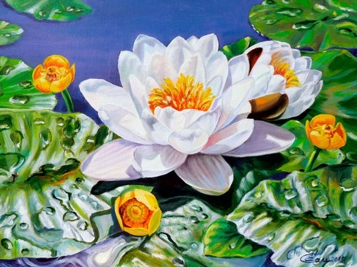 цветы, кувшинка, пруд, листья, живопись