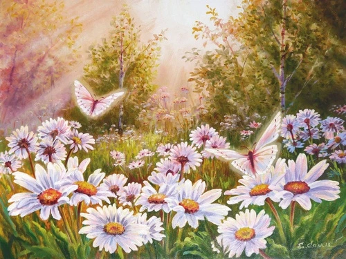 цветы, живопись, ромашки