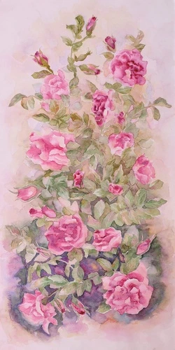 цветы, розы, акварель, розовая, листья, зеленая, на розовом фоне, живопись