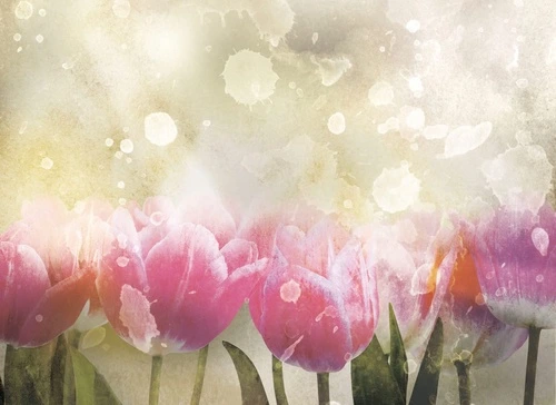 цветы, тюльпаны, поле тюльпанов, ярко розовые