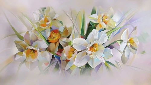 цветы, белые, на белом фоне, нарциссы