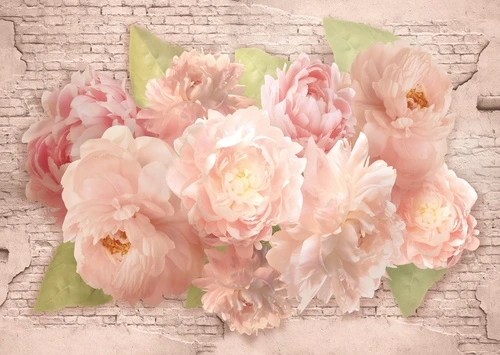 цветы, розовые пионы, листочки