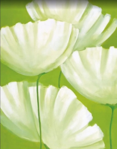 цветы, зеленая, белые, белые цветы