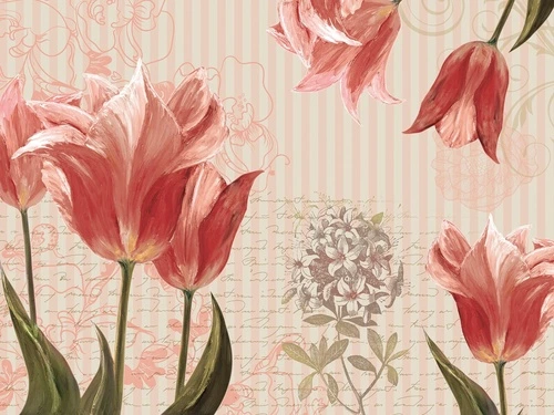 цветы, тюльпаны, красная, на розовом фоне, текст, с текстом