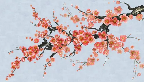 ветка, розовые, китайские, голубые, сакура, дерево, цветы сакуры, японский стиль