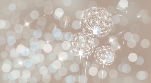 цветы, одуванчики, на бежевом фоне, круги