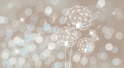 цветы, одуванчики, на бежевом фоне, круги