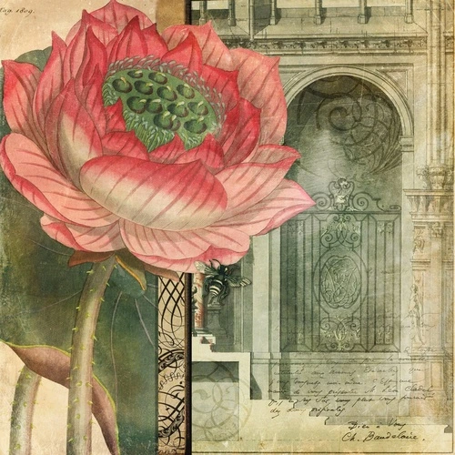 цветы, красный цветок