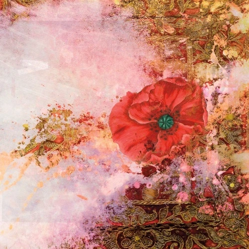 цветы, красный мак, абстракция