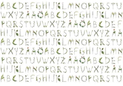 графика, текст, на белом фоне, буквы