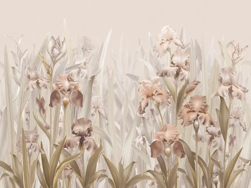 цветы, ирисы, бежевые, бежевая