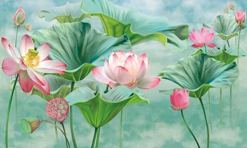 цветы, лотосы, листья лотоса,  розовая, зеленая