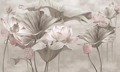 цветы, бежевые, бежевая, лотосы, листья лотоса, светло зеленая