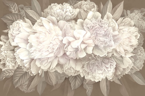 цветы, пионы, на бежевом фоне, белые