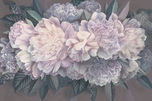 цветы, пионы, на сером фоне, белые