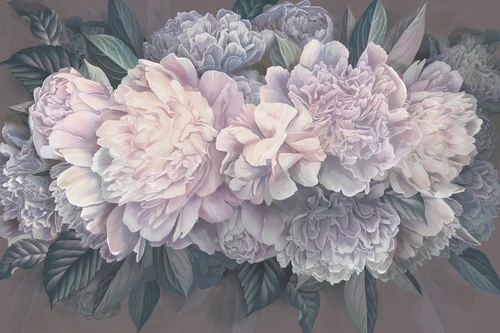 цветы, пионы, на сером фоне, белые