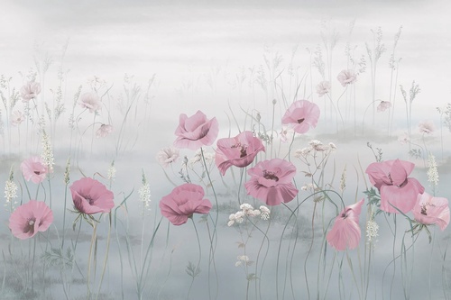 цветы, маки, розовая, на сером фоне