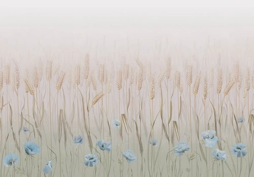 цветы, поле, колосья, голубые маки, бежевые