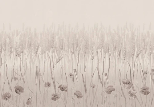 цветы, поле, бежевые, бежевые маки, колосья