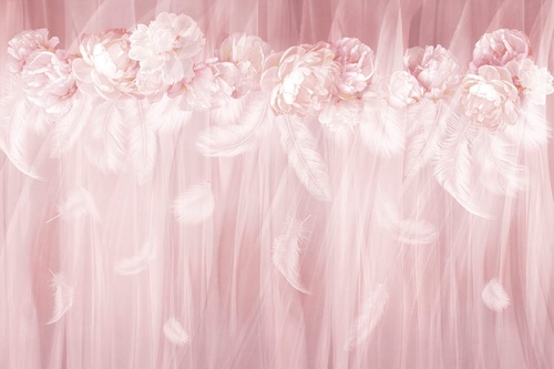 цветы, розовая, пионы, воздушные, нежные, светлые