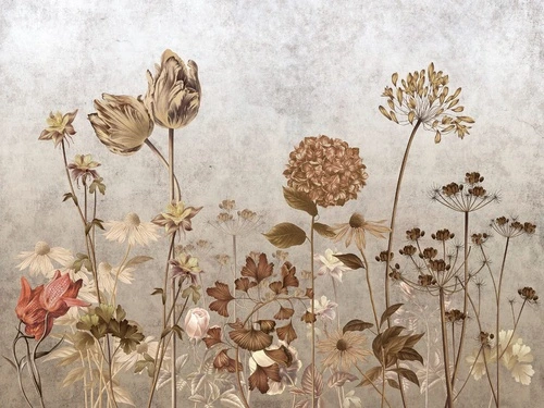 цветы, бежевые, полевые, поляна