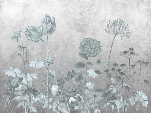 цветы, серая, полевые, светлые, поляна