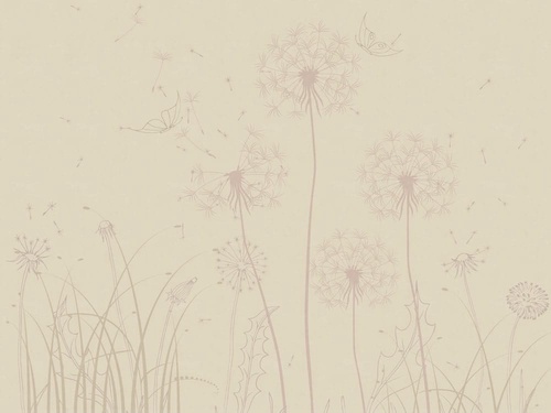 цветы, минимализм, бежевые, одуванчики