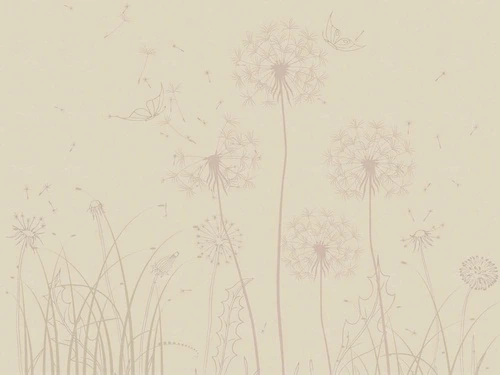 цветы, минимализм, бежевые, одуванчики