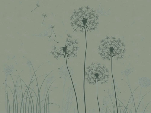 цветы, графика, одуванчики, зеленая