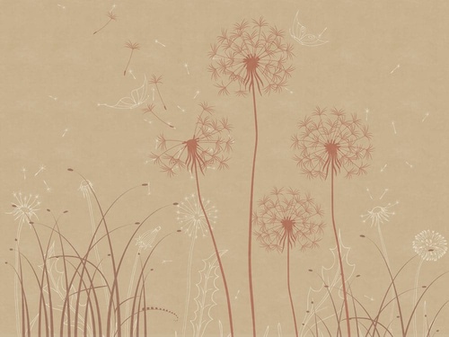 цветы, графика, одуванчики, бежевые