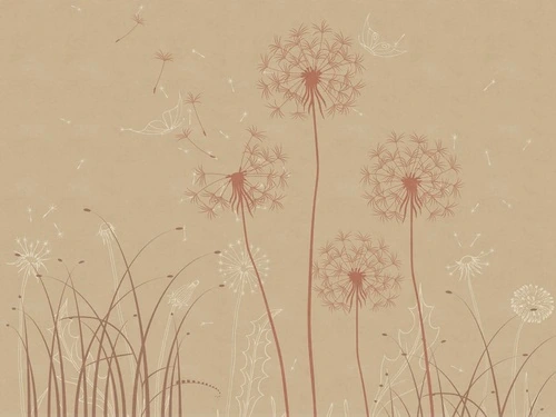 цветы, графика, одуванчики, бежевые