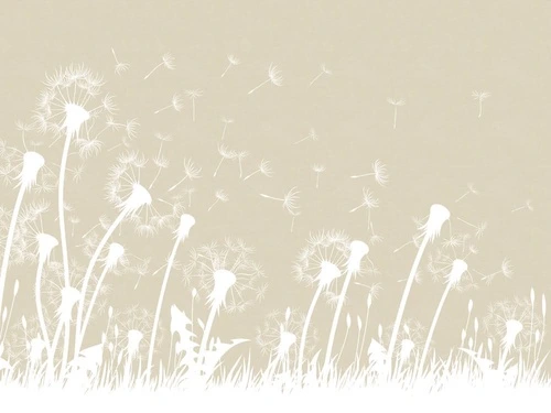 цветы, графика,  одуванчики, бежевые, белые