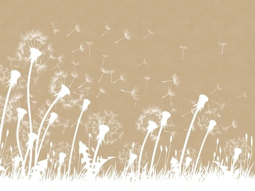 цветы, графика, одуванчики, светло коричневая