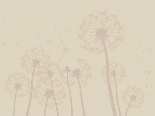 цветы, графика, одуванчики, коричневая, бежевые