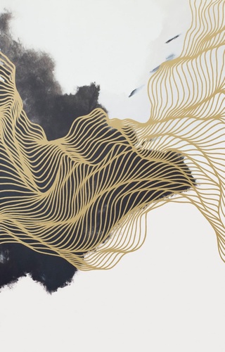 флюиды, на белом фоне, черно-белые, золотые линии, красивые