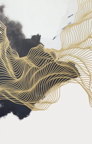 флюиды, на белом фоне, черно-белые, золотые линии, красивые