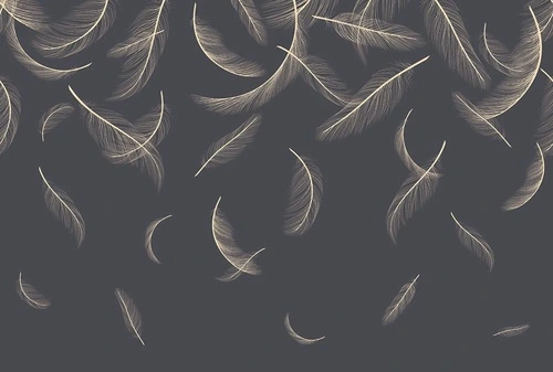 графика, перья, темные, золотые линии, на черном фоне