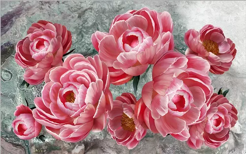 красные, розовые, серые, цветы, пионы, белые, бутоны