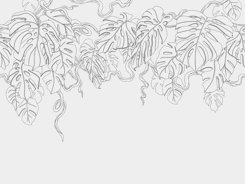 графика, светло серая, листья, тропические, свисающие, светлые