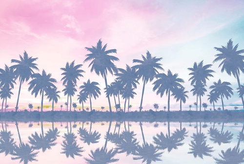 пейзаж, пальмы, закат, море, серо-синяя