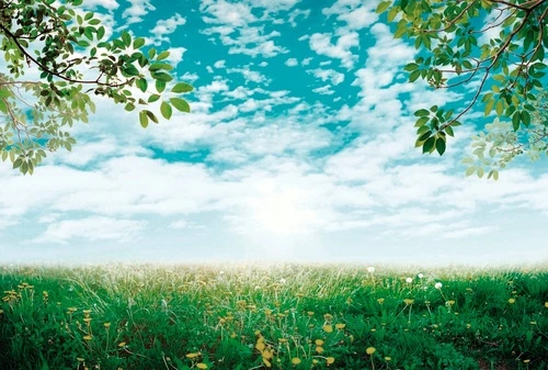 пейзаж, бирюзовая, яркие, зеленое поле, ветки, небо с облаками